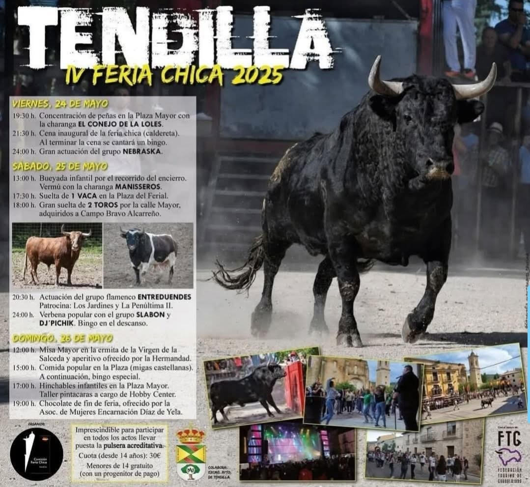 TOROS-TENDILLA-24,25-26-DE-MAYO-2025