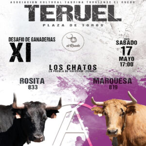 TOROS-TERUEL-17-MAYO-2025
