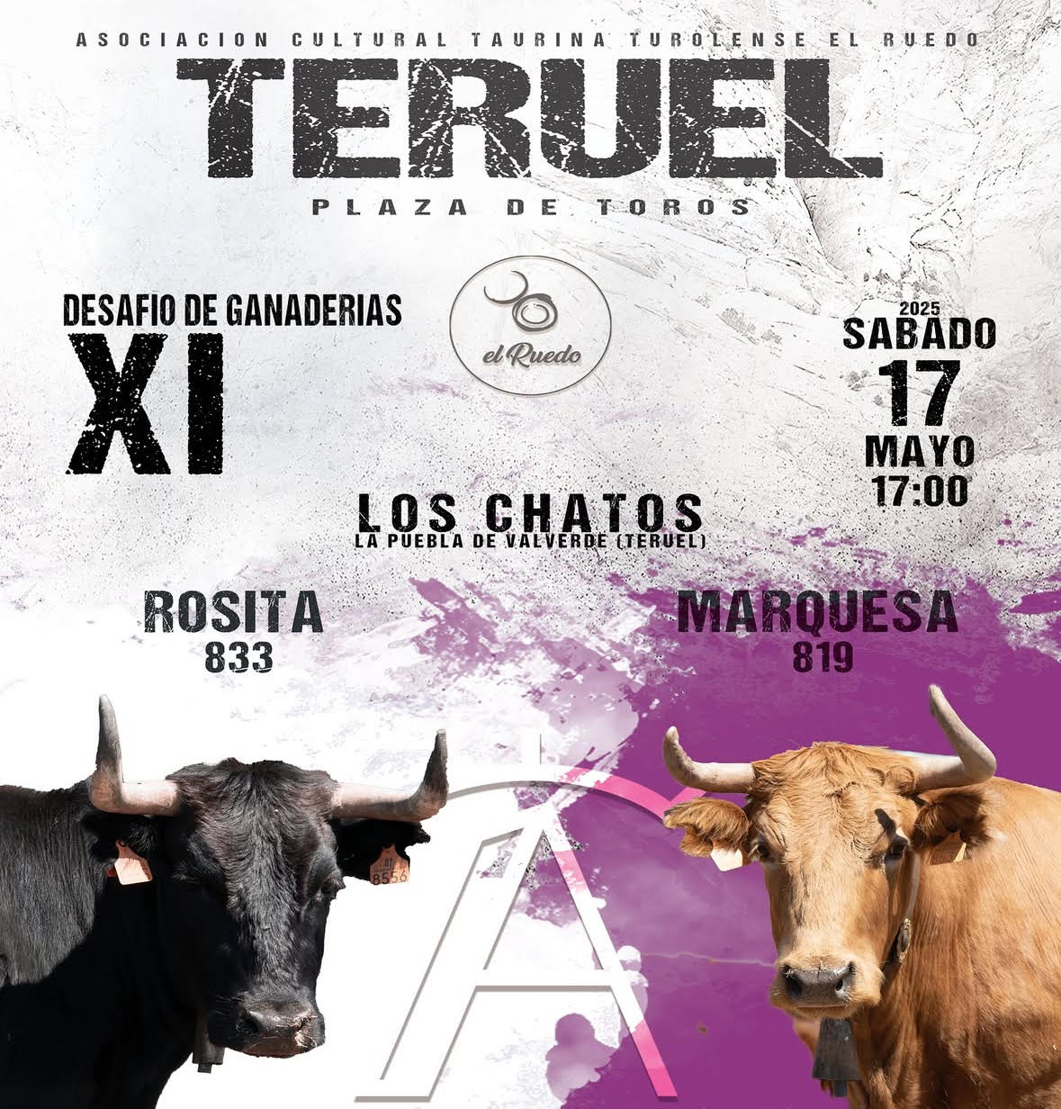 TOROS-TERUEL-17-MAYO-2025