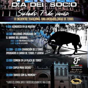TOROS-TERUEL-7-JUNIO-2025