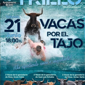 TOROS-TRILLO 21-JUNIO-2025