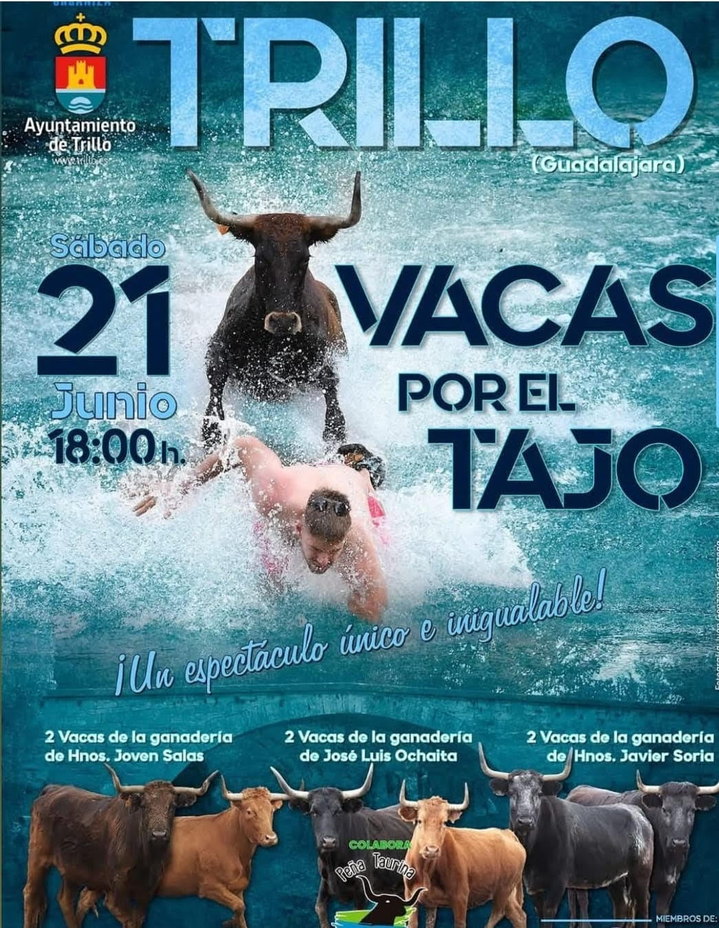 TOROS-TRILLO 21-JUNIO-2025