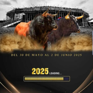 TOROS-TURBACO-DEL-30-DE-MAYO-AL-2-DE-JUNIO-2025