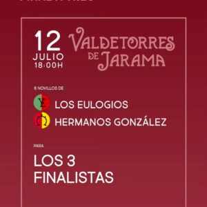 TOROS-VALDETORRES-12-JULIO-2025.