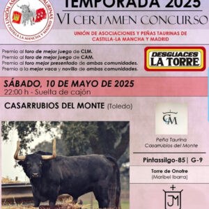 TOROS-VI-CERTAMEN-CONCURSO-10-MAYO-2025.