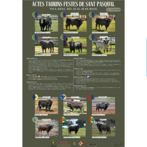 TOROS-VILA-REAL-DEL-10-AL-18-DE-MAYO-2025