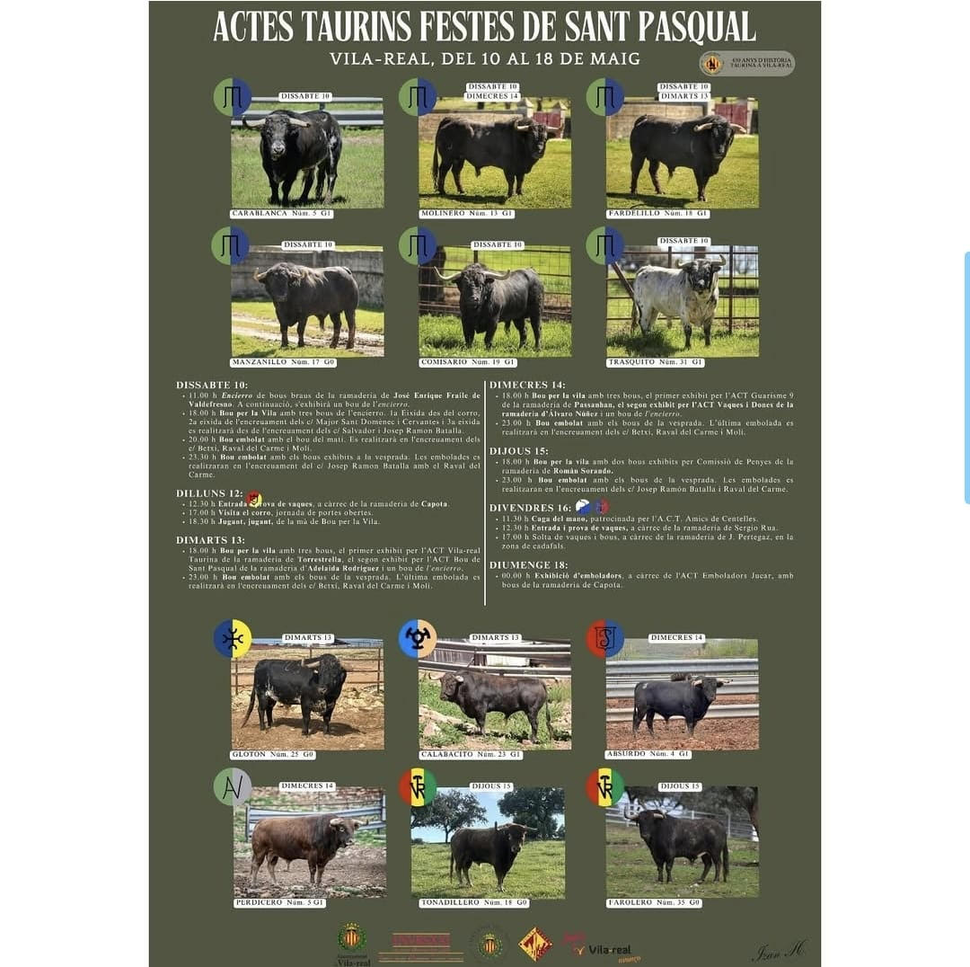 TOROS-VILA-REAL-DEL-10-AL-18-DE-MAYO-2025