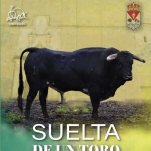 TOROS-VILLAMOR-17-MAYO-2025