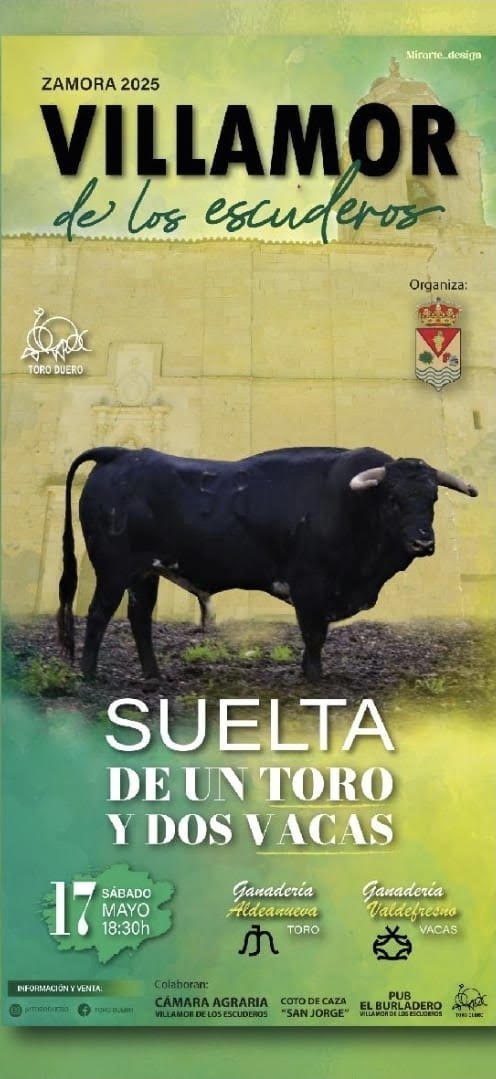 TOROS-VILLAMOR-17-MAYO-2025