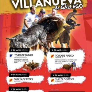 TOROS-VILLANUEVA-DE-GALLEGO-17-Y-18-MAYO-2025