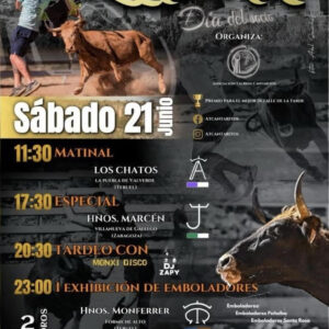 TOROS-VILLASTAR-21-JUNIO-2025.