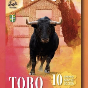TOROS-VILLAVERDE-10-MAYO-2025