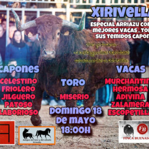TOROS-XIRIVELLA-18-MAYO-2025.