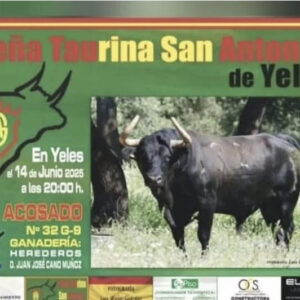 TOROS-YELES-14-JUNIO-2025.