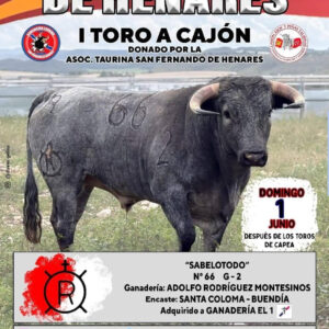 TOROS-SAN-FERNANDO-DE-HENARES-1-DE-JUNIO.