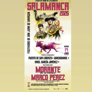 TOROS-PLAZA-DE-TOROS-DE-LA-GLORIETA-14-JUNIO-2025