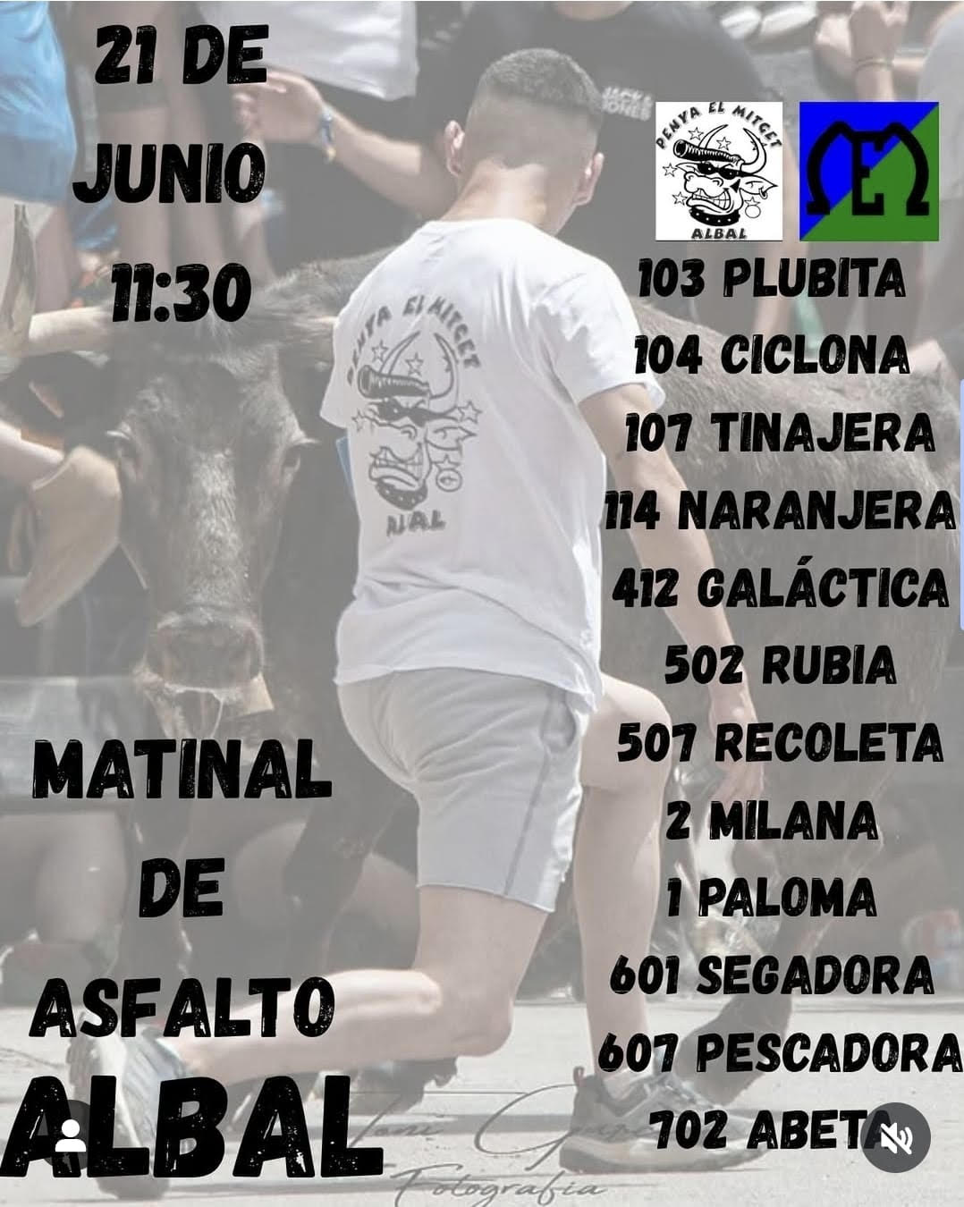 TOROS MATINAL DE ASFALTO ALBAL 21 JUNIO 2025