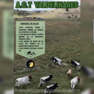 TOROS ACT VALDELINARES 19 JULIO 2025