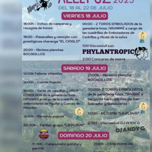 TOROS ALLEPUZ DEL 18 AL 20 DE JULIO 2025