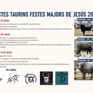 TOROS AMPOSTA 18 JULIO 2025