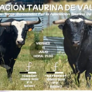 TOROS ASC TAURINA DE VALDELAGUNA 11 JULIO 2025