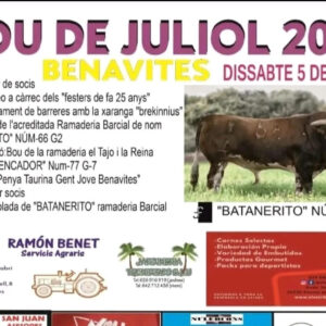 TOROS BENAVITES 5 JULIO 2025