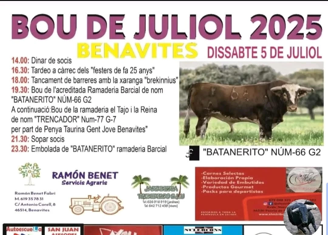 TOROS BENAVITES 5 JULIO 2025