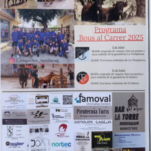 TOROS BENIFARAIG 5 JULIO 2025