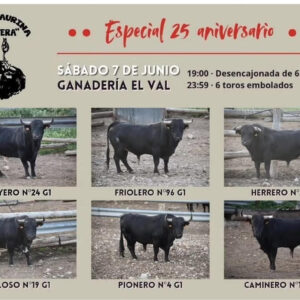 TOROS-BETERA-7-JUNIO-2025