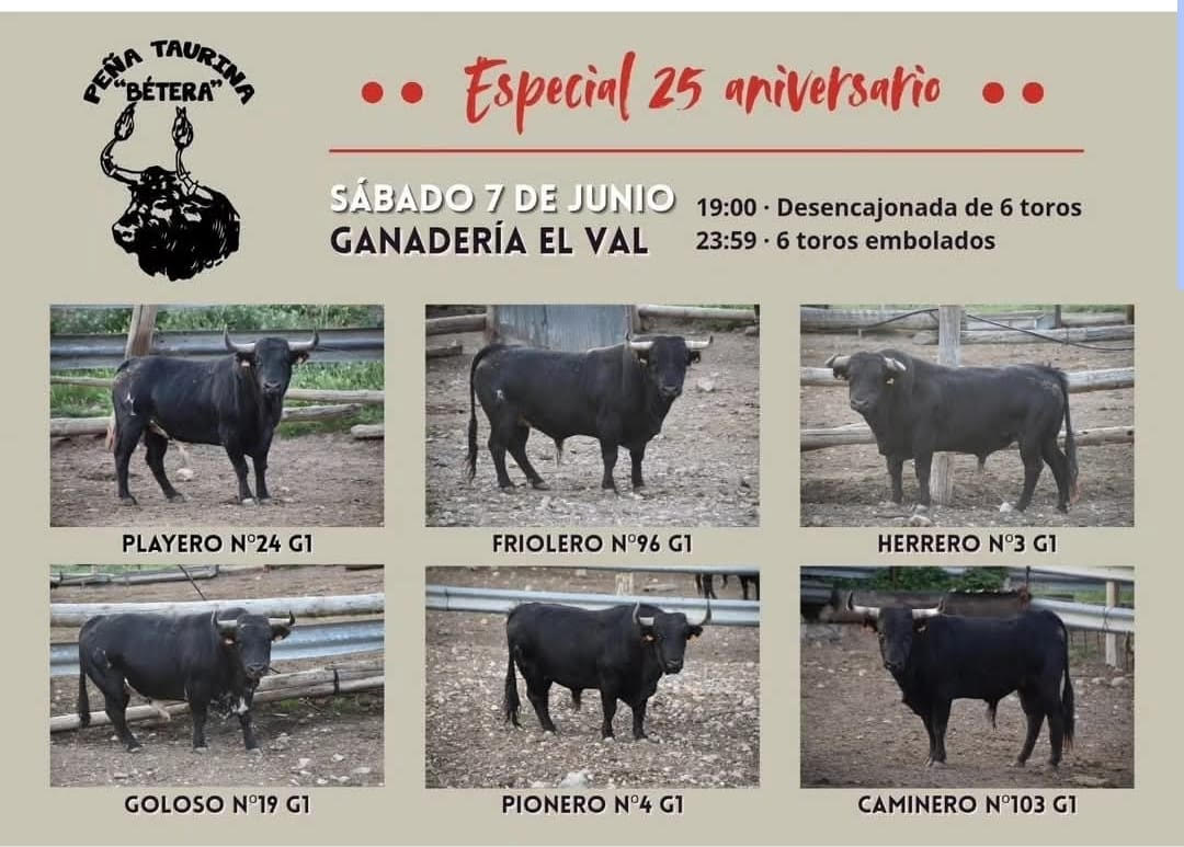 TOROS-BETERA-7-JUNIO-2025