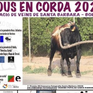 TOROS BOUS EN CORDA DEL 26 DE JULIO 2025