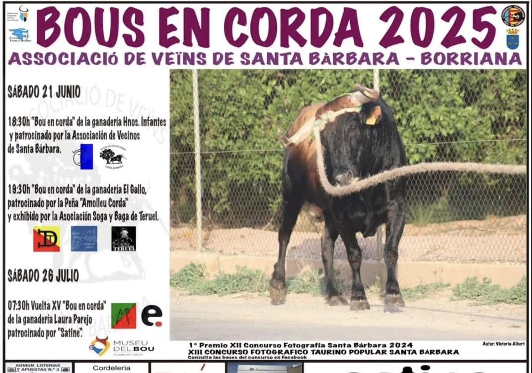 TOROS BOUS EN CORDA DEL 26 DE JULIO 2025