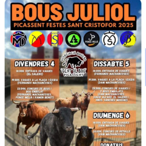 TOROS BOUS JULIOL 4 5 Y 6 DE JULIO 2025