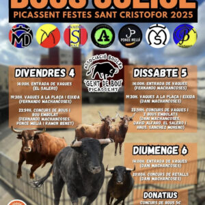 TOROS BOUS JULIOL 4 5 Y 6 JULIO 2025