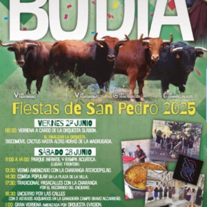 TOROS BUDIA 27 28 Y 29 JUNIO 2025