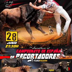 TOROS CAMPEONATO DE ESPAÑA 28 JUNIO 2025