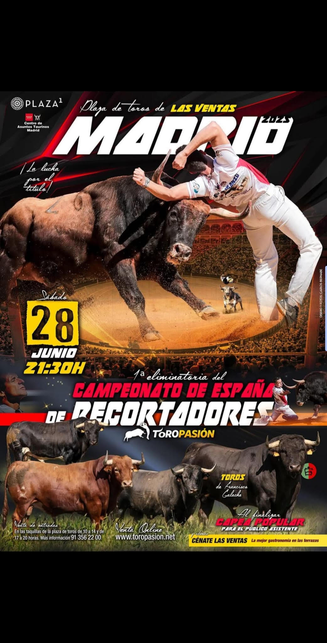 TOROS CAMPEONATO DE ESPAÑA 28 JUNIO 2025
