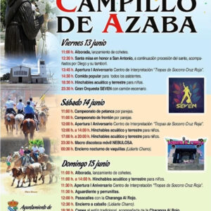 TOROS-CAMPILLO-DE-AZABA-DEL-13-AL-15-DE-JUNJIO-2025