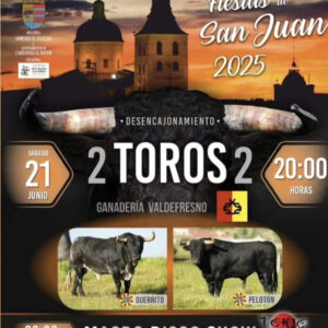 TOROS CARBONERO EL MAYOR 21 JUNIO 2025