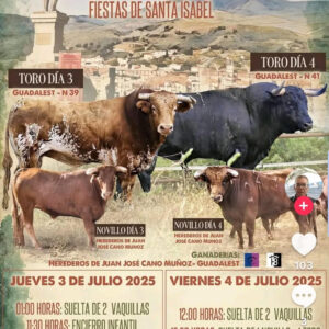 TOROS CARGANTA LA OLLA 3 Y 4 DE JULIO 2025