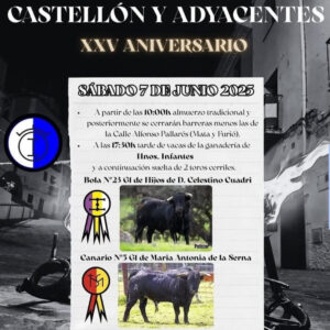 TOROS CASTELLON Y ADYACENTES 7 JUNIO 2025