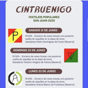 TOROS CINTRUÉNIGO 21 22 Y 23 DE JUNIO 2025