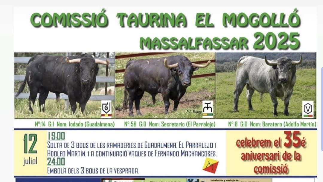 TOROS COMISION TAURINA EL MOGOLLO 12 JULIO 2025