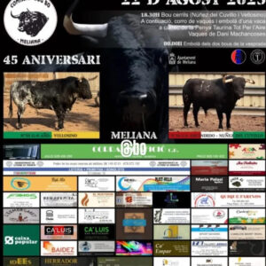 TOROS COMISSIÓ BOU 80 22 AGOSTO 2025