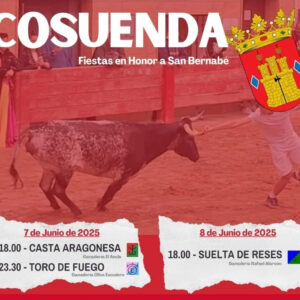 TOROS-COSUENDA-7-Y-8-DE-JUNIO-2025