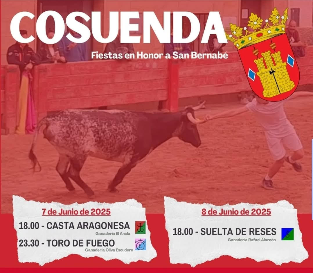TOROS-COSUENDA-7-Y-8-DE-JUNIO-2025