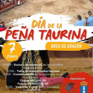TOROS-DIA-DE-LA-PENA-TAURINA-7-JUNIO-2025.