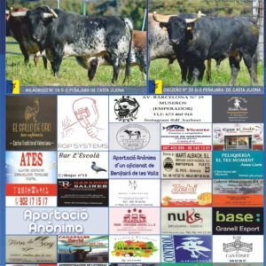 TOROS-EL-PILO-ALBIXECH-14-JUNIO-2025