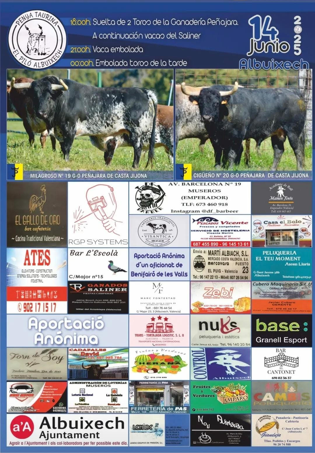 TOROS-EL-PILO-ALBIXECH-14-JUNIO-2025