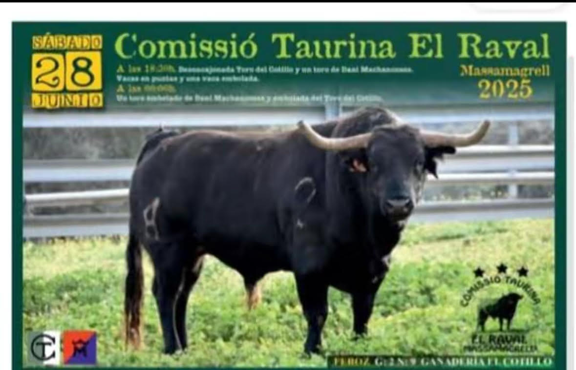 TOROS EL RAVAL 28 JUNIO 2025